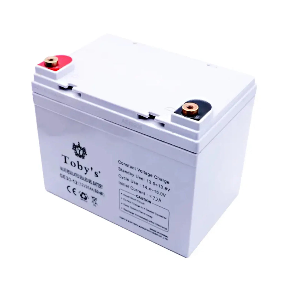 Toby's BTY 30A internal 12V rechargeable lead-acid battery angled view